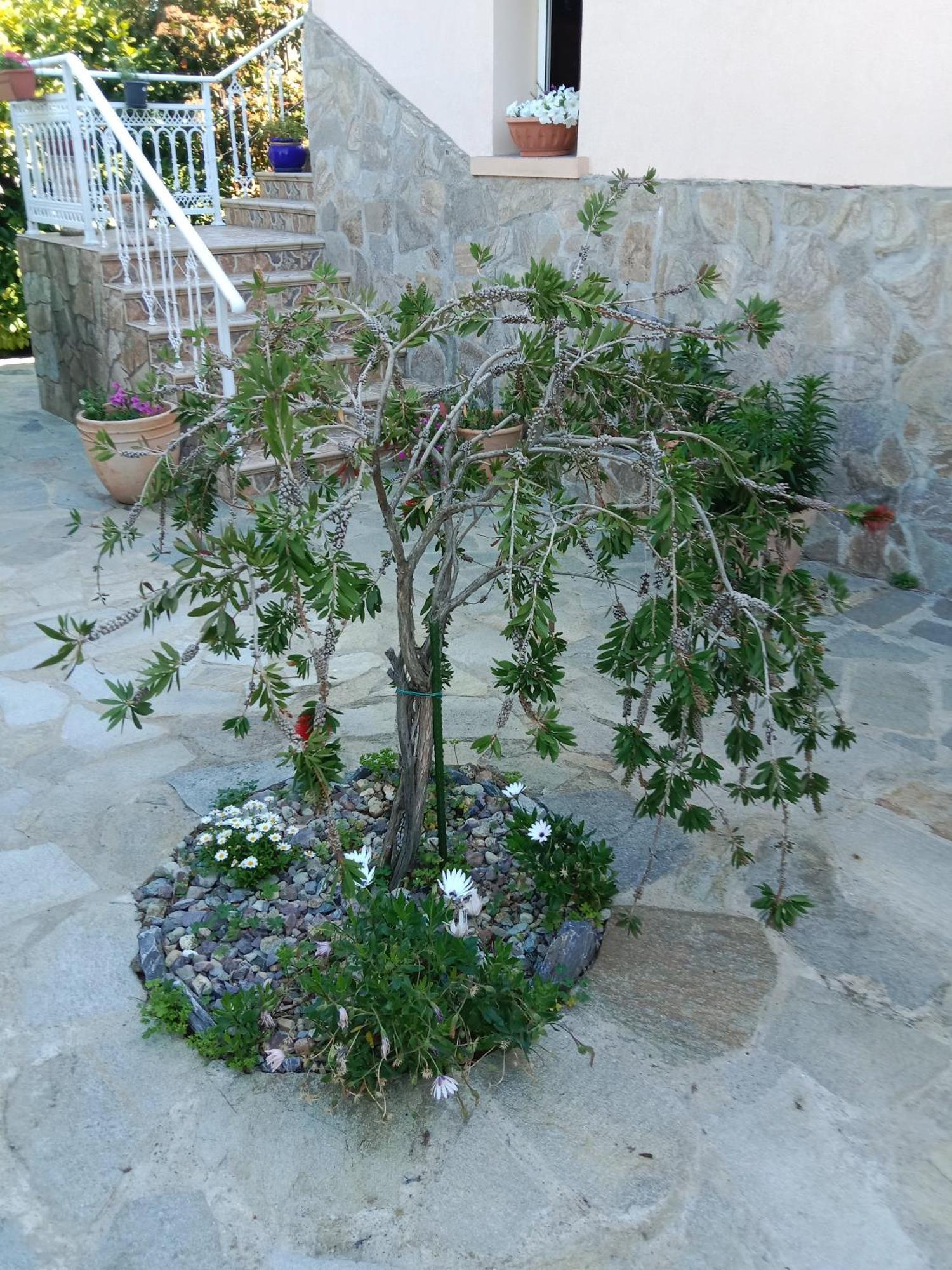 Les Espaces De Furiani Esterno foto